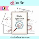 Žížala a její život - pracovní listy