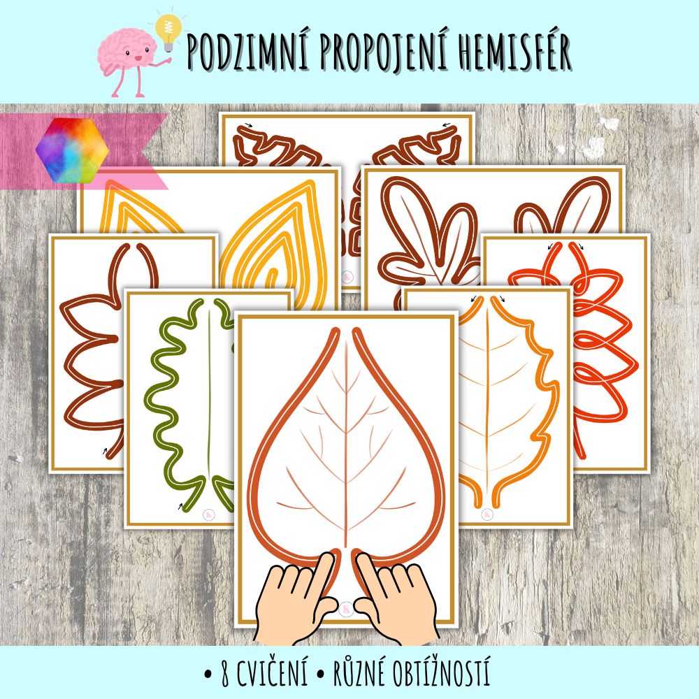 podzimní propojení mozku