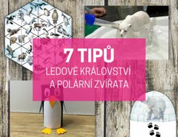 Ledové království a polární zvířata: 7 tipů pro děti 6 ledové království a polární zvířata náhled