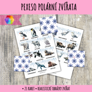 pexeso polární zvířata