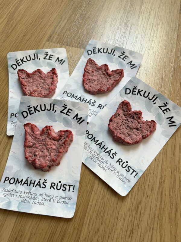 dárkové karty na den matek