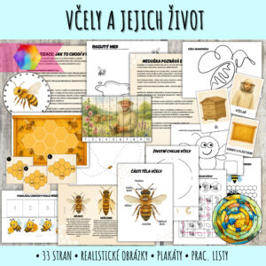 PDF Včely - aktivity pro předškoláky