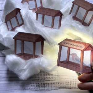 Prosvětlovačky - ptáci na krmítku 3 IMG 5274