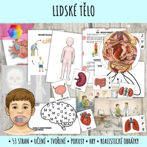 lidské tělo - atkvity pro předškoláky