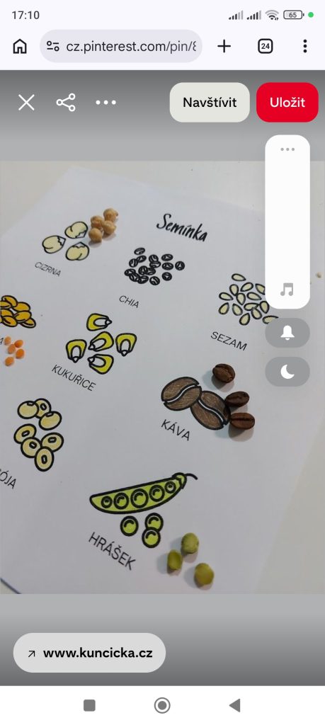 Obrázek #1 od Anonymní