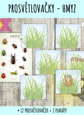 prosvětlovačky hmyz