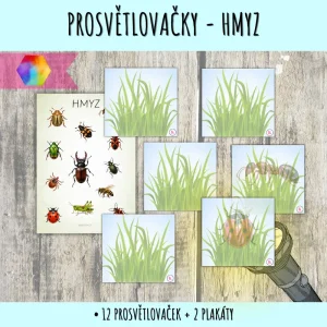 prosvětlovačky hmyz