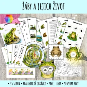 žáby - aktivity pro předškoláky