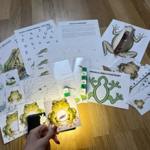 Žáby – aktivity pro předškoláky