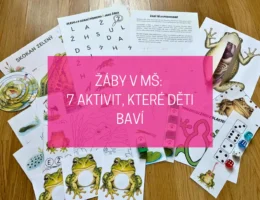 žáby v mateřské škole