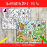 Maxiomalovánka louka a hmyz